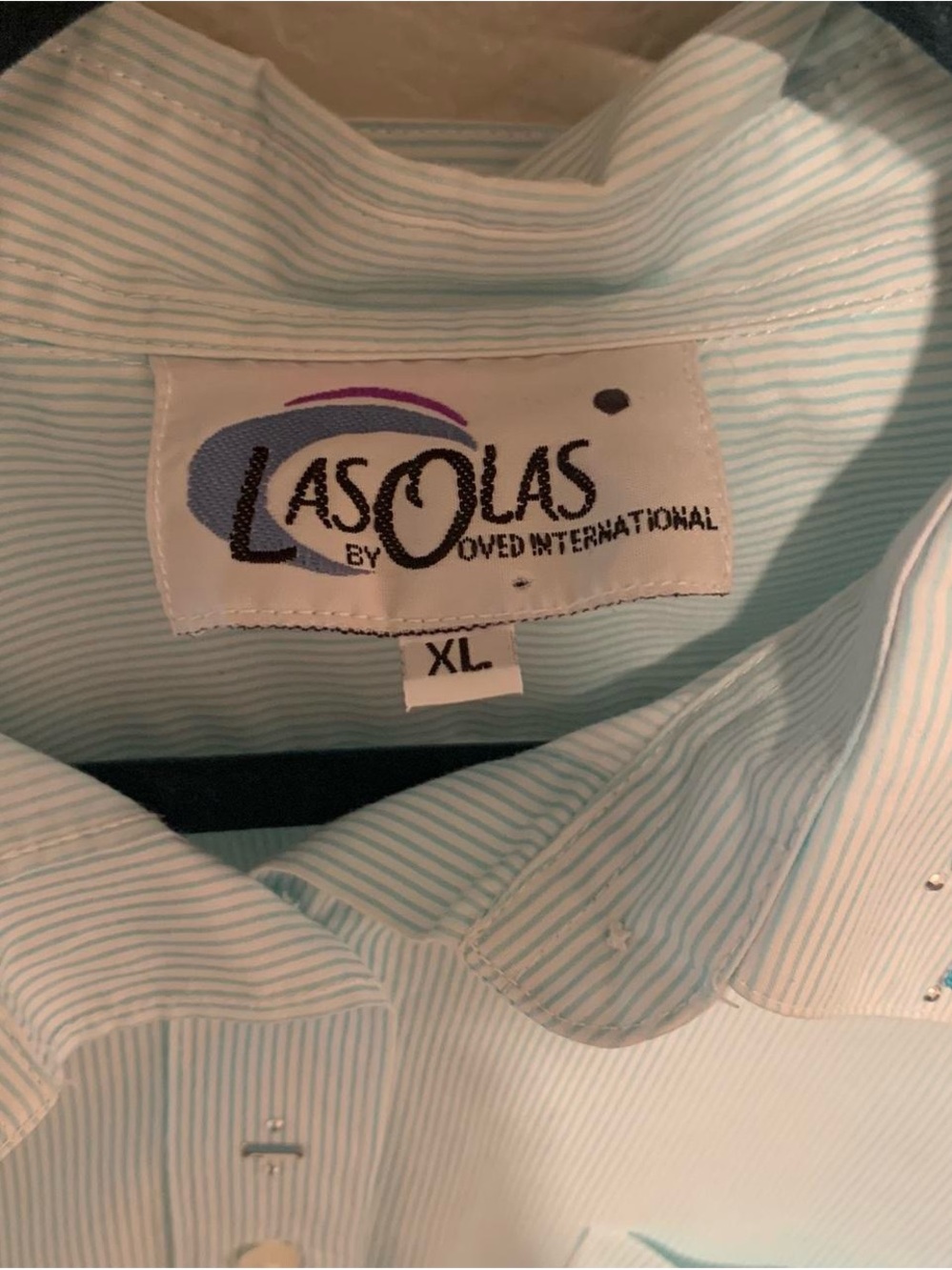 Embroidered aqua Asian button down - Picture 3 of 6